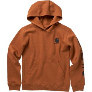 Carhartt Lengthy Sleeve Hooded Sweatshirt for Boys